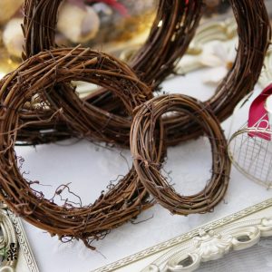 美圖4_藤圈 拷貝