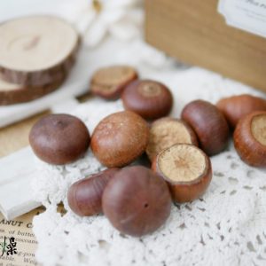 美圖4_蘑菇頭 拷貝
