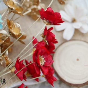 美圖4_銀蓮花 拷貝