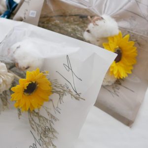 美圖4_香皂向日葵 拷貝