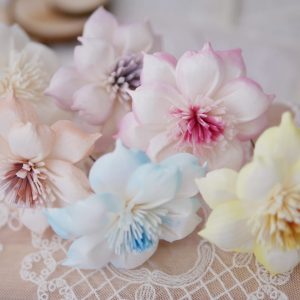 美圖5_水仙花 拷貝