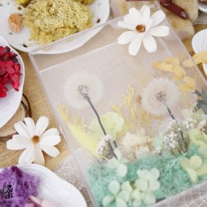 美圖5_花盒材料包 拷貝