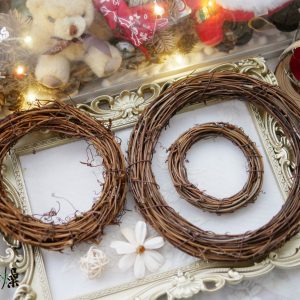 美圖5_藤圈 拷貝