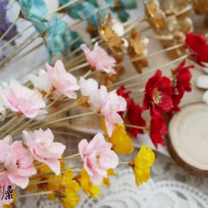 美圖5_銀蓮花 拷貝