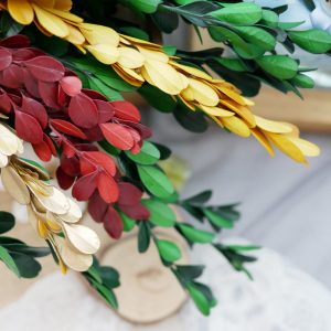 美圖5_黃楊葉 拷貝