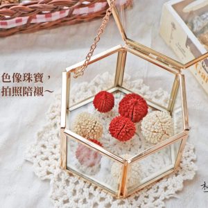 美圖6 _木丹果