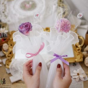 美圖6_單枝康乃馨花束 拷貝