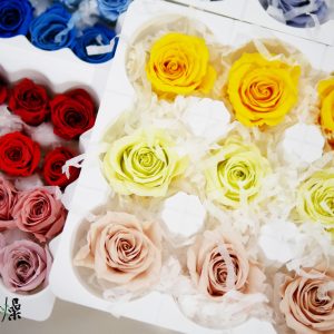 美圖6_玫瑰組合 拷貝