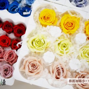 美圖6推薦加購圖_玫瑰組合