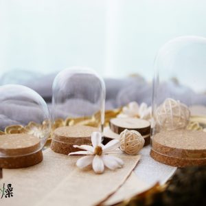 美圖7_玻璃花盅 拷貝