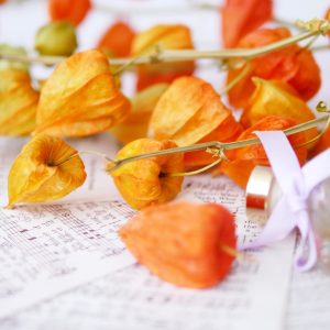 美圖8_宮燈 拷貝