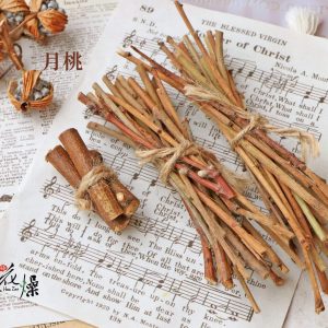 美圖一 _小木棍木堆