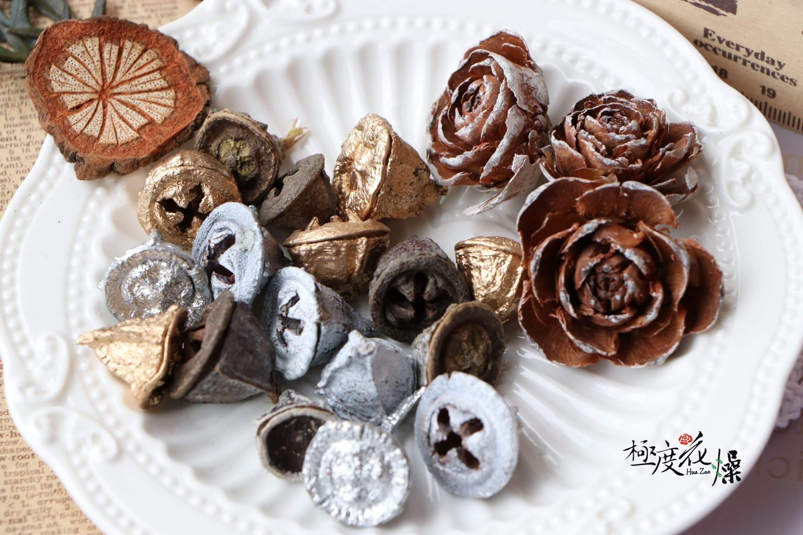 美圖一 _尤加利果