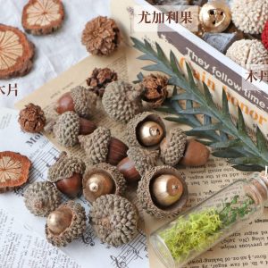 美圖一 _橡實