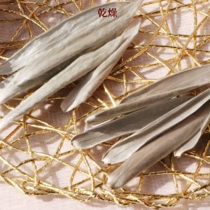 美圖一 _銀葉