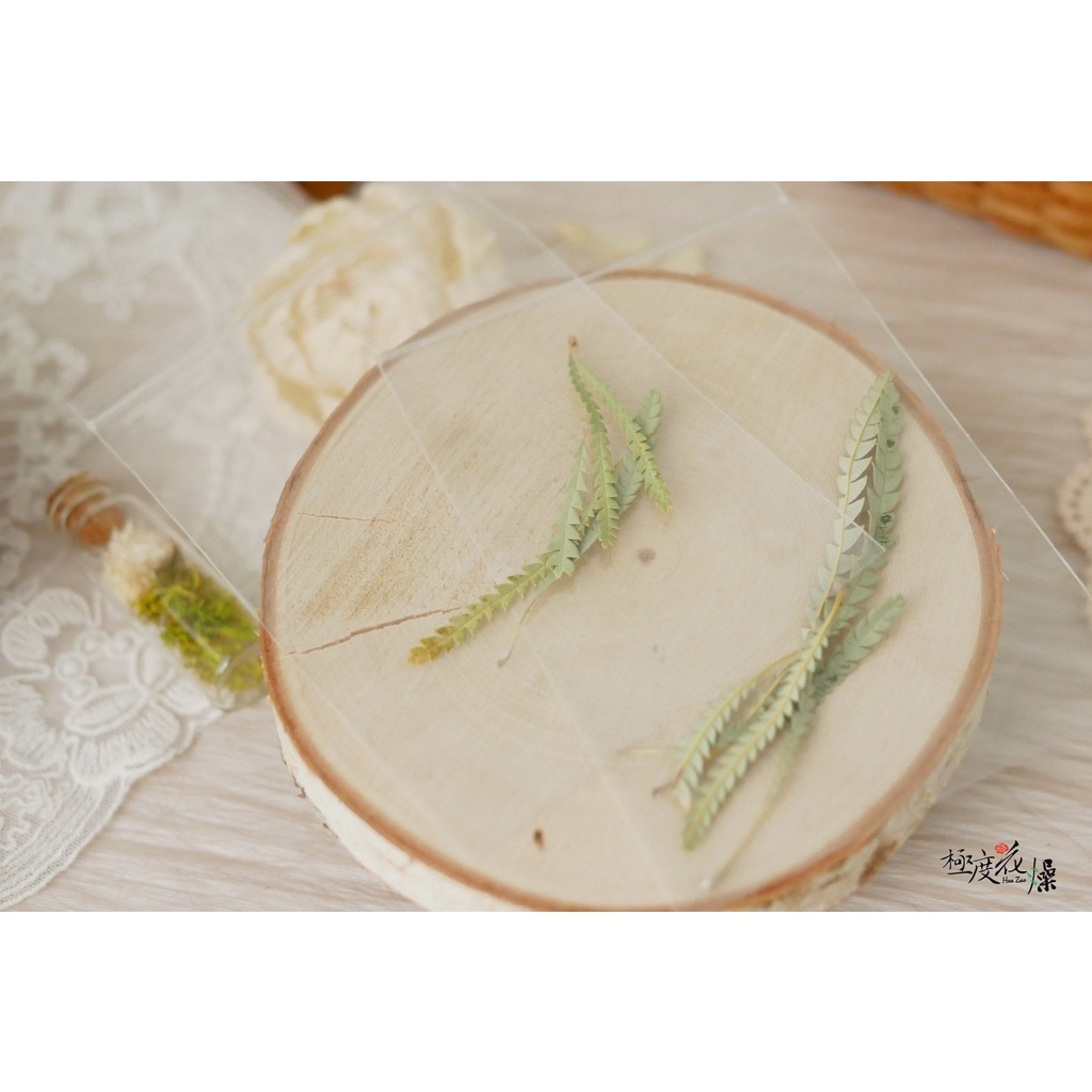 美圖三_山茂檻