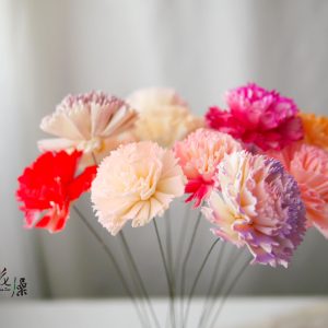 美圖三_蓪草雙色康乃馨 拷貝