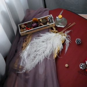 美圖三_雪花蕨 拷貝