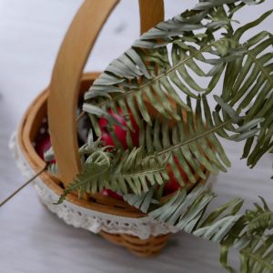 美圖二_乾燥綠芒萁 拷貝