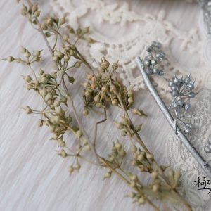 美圖二_小米果 拷貝