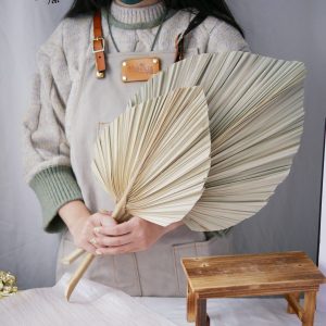 美圖二_蒲扇葉 拷貝