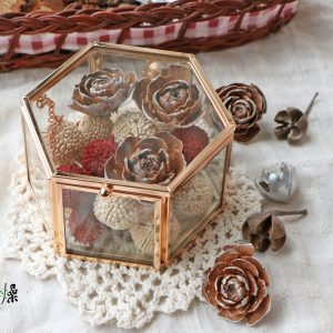 美圖五 _杉玫瑰