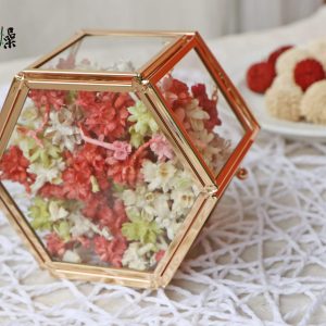 美圖五 _爆米花