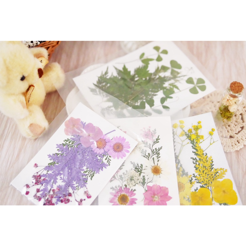 美圖五_壓花材料包