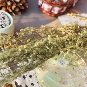 美圖四 _鹿角草