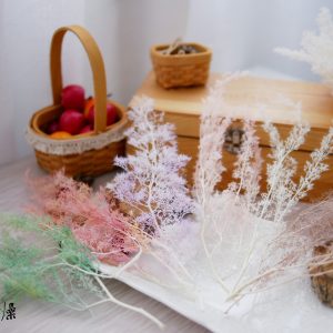 美圖四_永生刺藜 拷貝