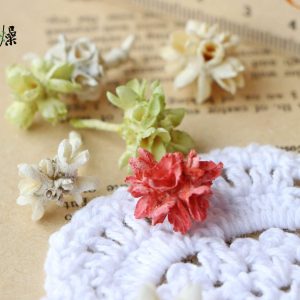 美圖四_爆米花 拷貝