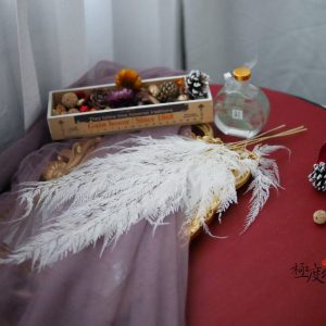 美圖四_雪花蕨 拷貝