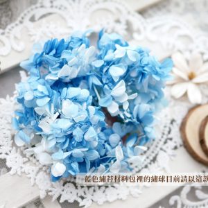 美圖藍白繡球_ 拷貝