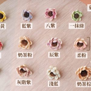色 _天女花