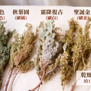 色_乾燥雪松