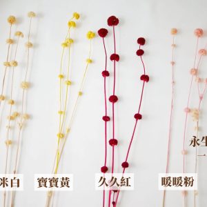 色_永生小乒乓