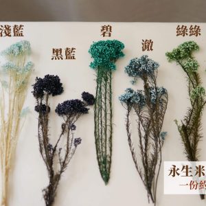 色ㄧ _永生米香花