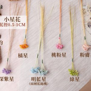 色一_小星花