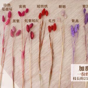 色一_加那利