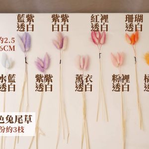 色一_雙色兔尾