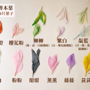 色一 _永生樺木葉