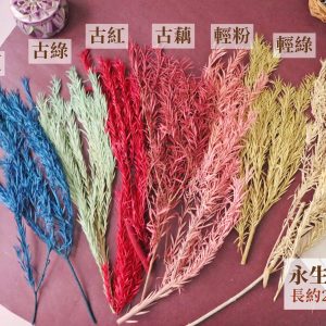 色一 _永生茶樹葉