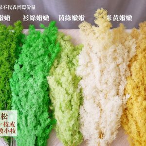 色一 _永生蓬萊松