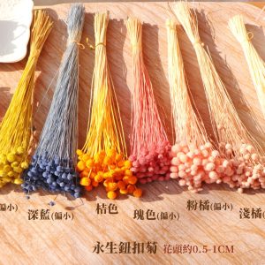 色一 _紐扣菊