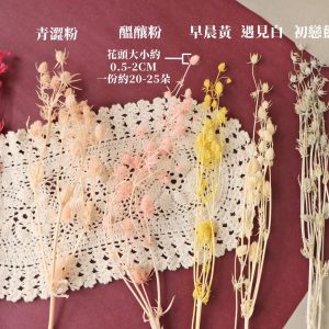 色一_永生小紫薊 拷貝