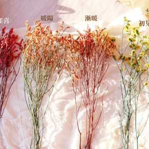 色一_永生水晶花