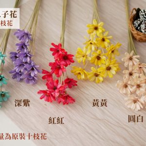 色一_瓜子花 拷貝
