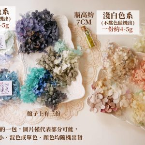 色一_綜合繡球 拷貝