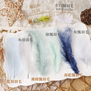 色一_羽毛
