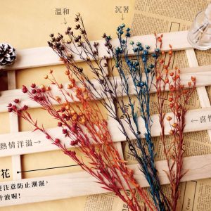 色一_臨花23